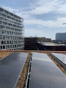 photo of roof-top solar panels