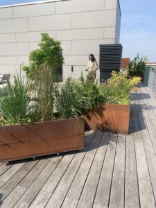 photo of rooftop garden/patio space