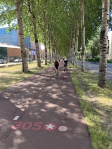 photo of a typical Amsterdam bike path.